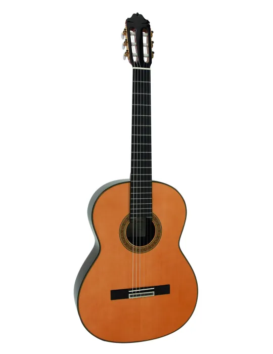  ESTEVE GUITAR MOD.11 CEDAR SOFT CASE|MusicGoodDeal 