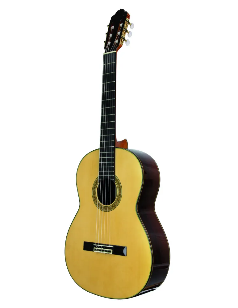  ESTEVE GUITAR MOD.11 CEDAR SOFT CASE|MusicGoodDeal 
