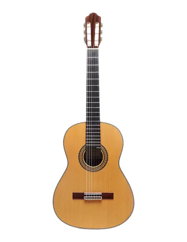 ESTEVE ALEGRIA-SC | MusicGoodDeal