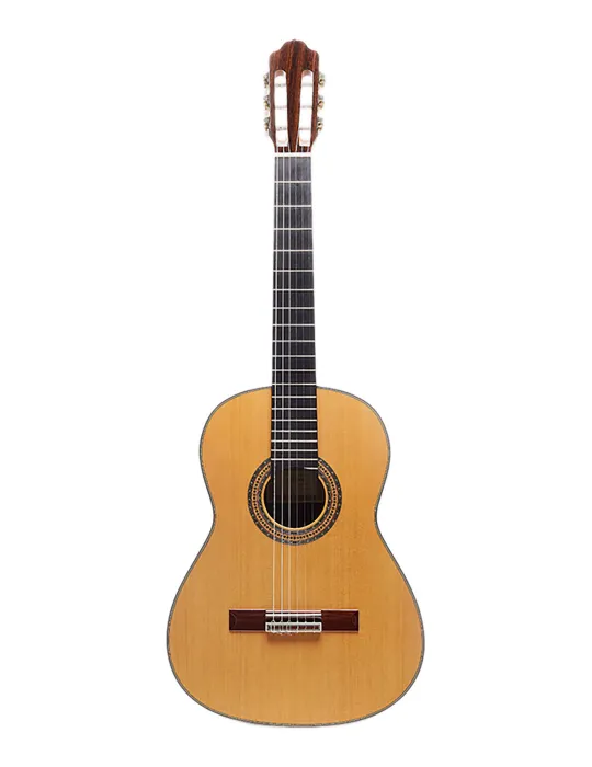 ESTEVE ALEGRIA-SC | MusicGoodDeal