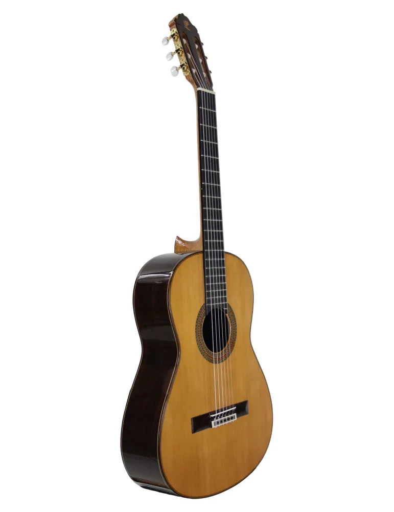 ESTEVE 15650CD-SC | MusicGoodDeal