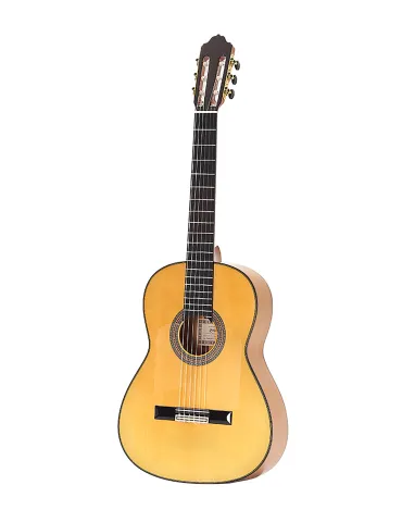 ESTEVE ALEGRIA-F-SC | MusicGoodDeal