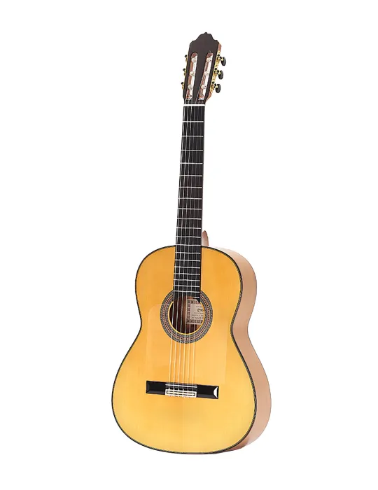 ESTEVE ALEGRIA-F-SC | MusicGoodDeal