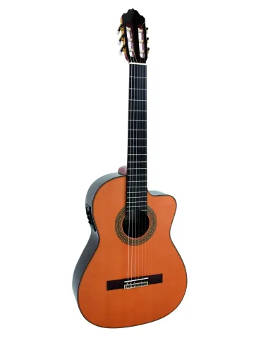 ESTEVE 15447E-SC | MusicGoodDeal