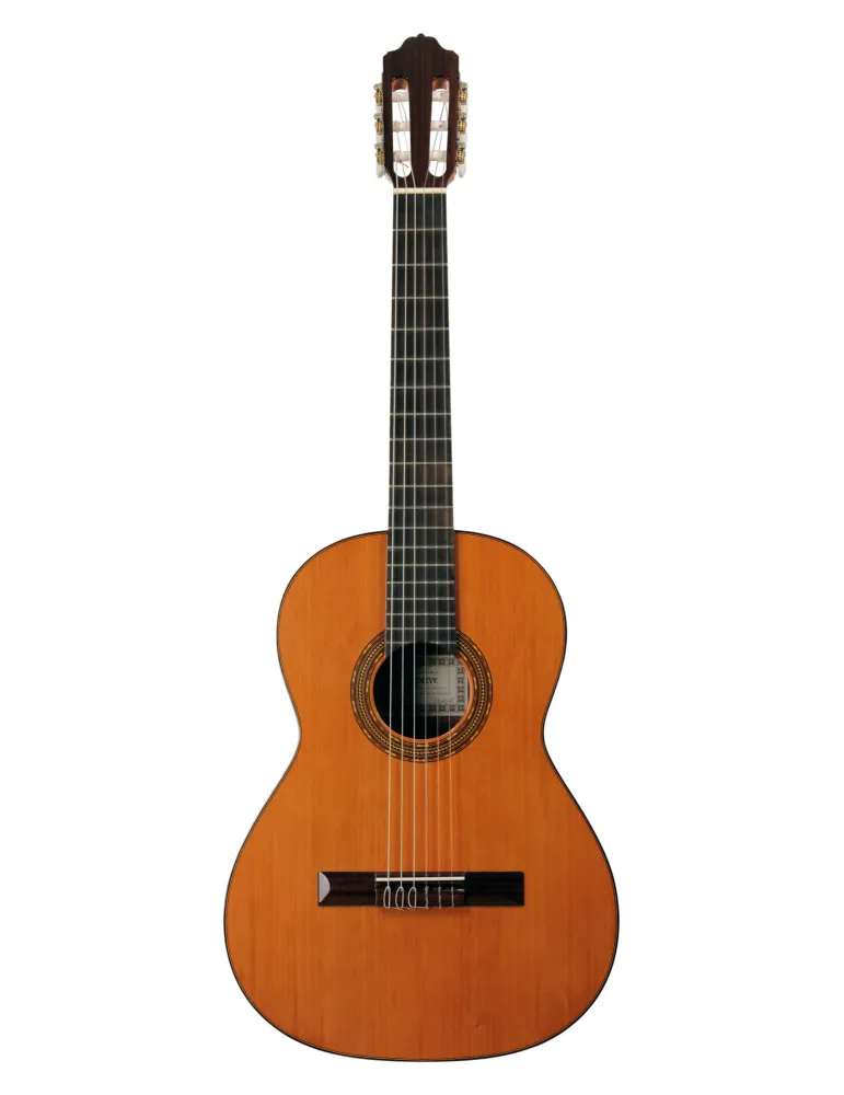 ESTEVE 15263 | MusicGoodDeal