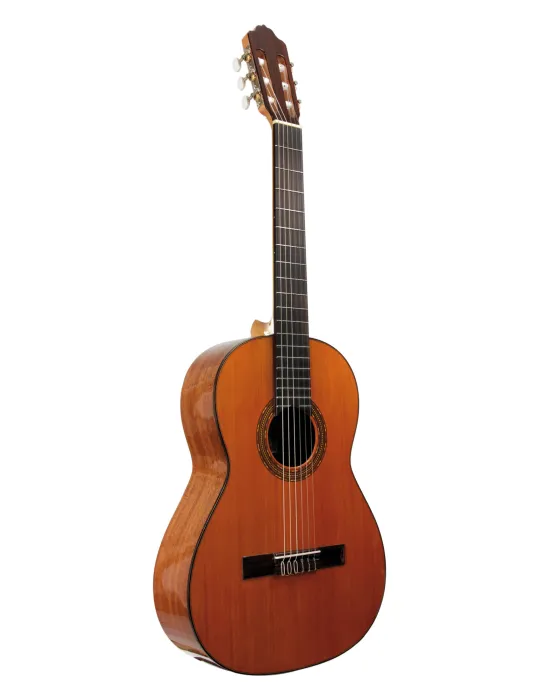 ESTEVE 15263 | MusicGoodDeal
