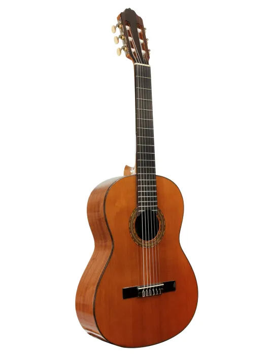ESTEVE 15258 | MusicGoodDeal