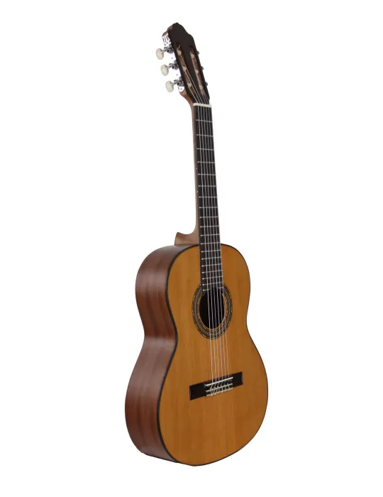 ESTEVE 15253TB | MusicGoodDeal