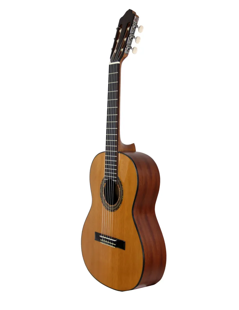 ESTEVE 15253TB | MusicGoodDeal