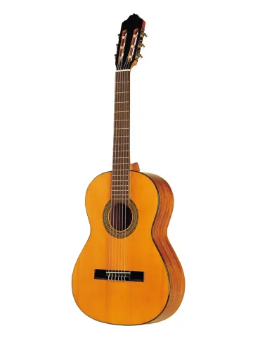 ESTEVE 15253OP | MusicGoodDeal