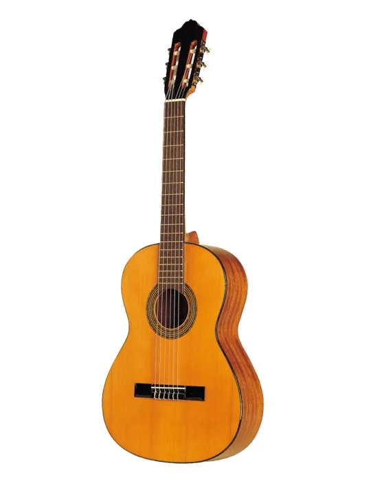 ESTEVE 15253OP | MusicGoodDeal