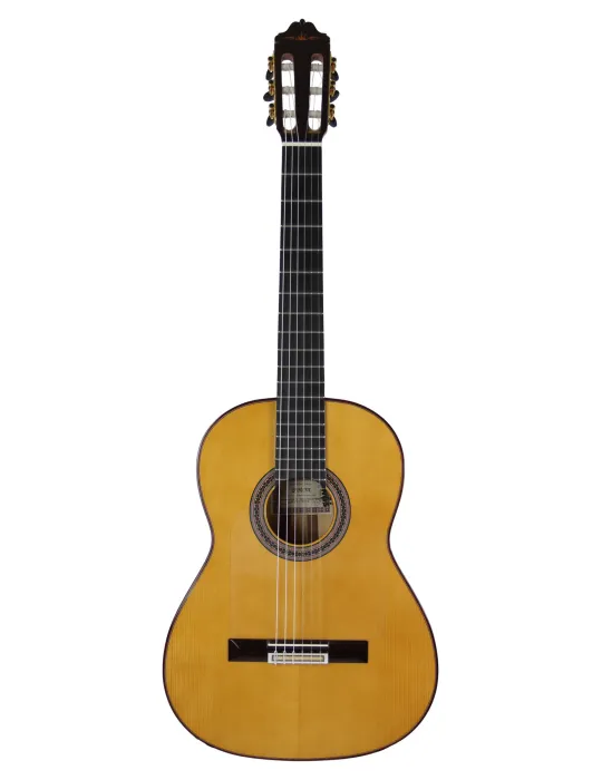 ESTEVE GK-SP-SC | MusicGoodDeal