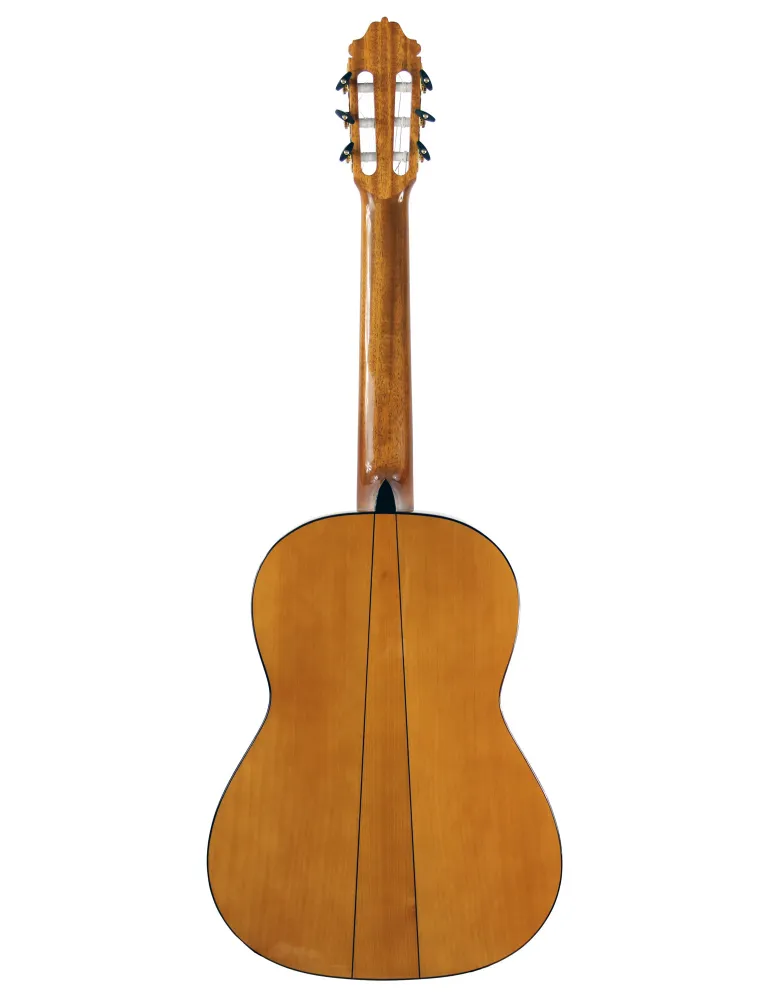 ESTEVE GK-SP-SC | MusicGoodDeal