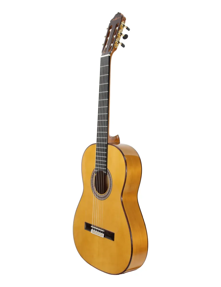 ESTEVE GK-SP-SC | MusicGoodDeal