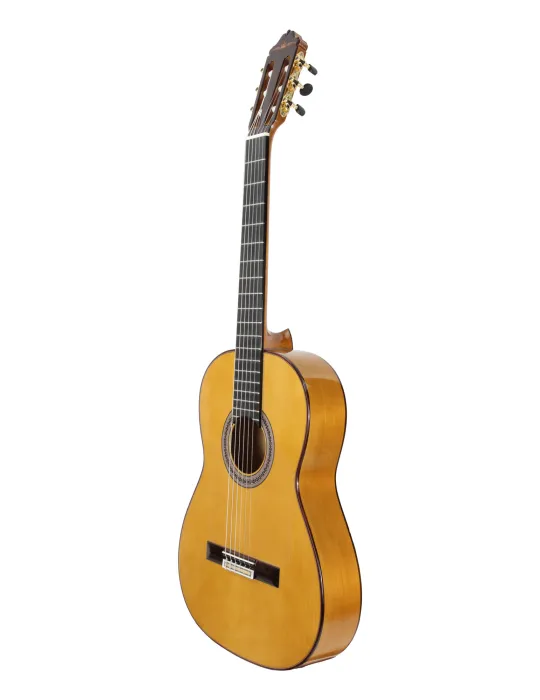 ESTEVE GK-SP-SC | MusicGoodDeal