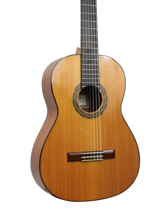  ESTEVE GUITAR 4ST LEFT-HANDED CEDAR TABLE|MusicGoodDeal 