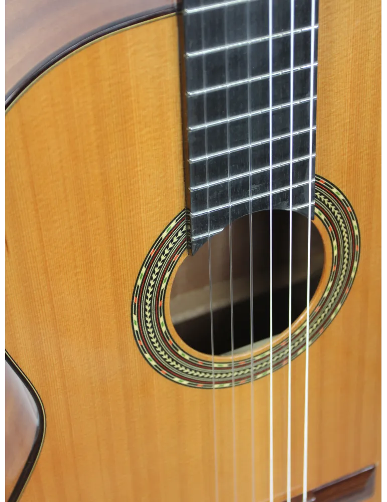  ESTEVE GUITAR 4ST LEFT-HANDED CEDAR TABLE|MusicGoodDeal 