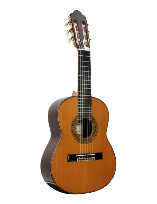 ESTEVE 15740SAT | MusicGoodDeal