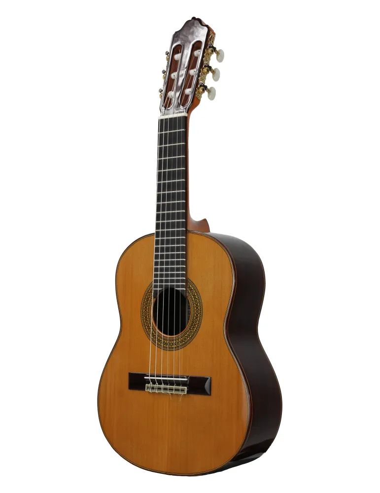 ESTEVE 15740SAT | MusicGoodDeal