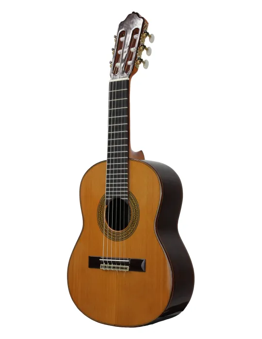 ESTEVE 15740SAT | MusicGoodDeal