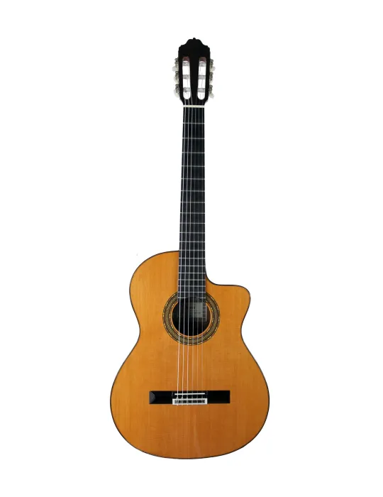  ESTEVE GUITAR 4STCE FISHMAN SILLET 48MM|MusicGoodDeal 