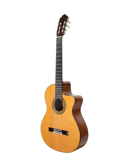  ESTEVE GUITAR 4STCE FISHMAN SILLET 48MM|MusicGoodDeal 