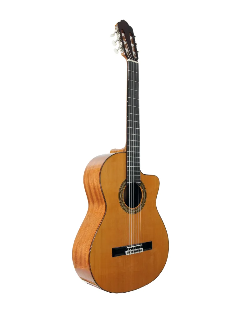  ESTEVE GUITAR 4STCE FISHMAN SILLET 48MM|MusicGoodDeal 