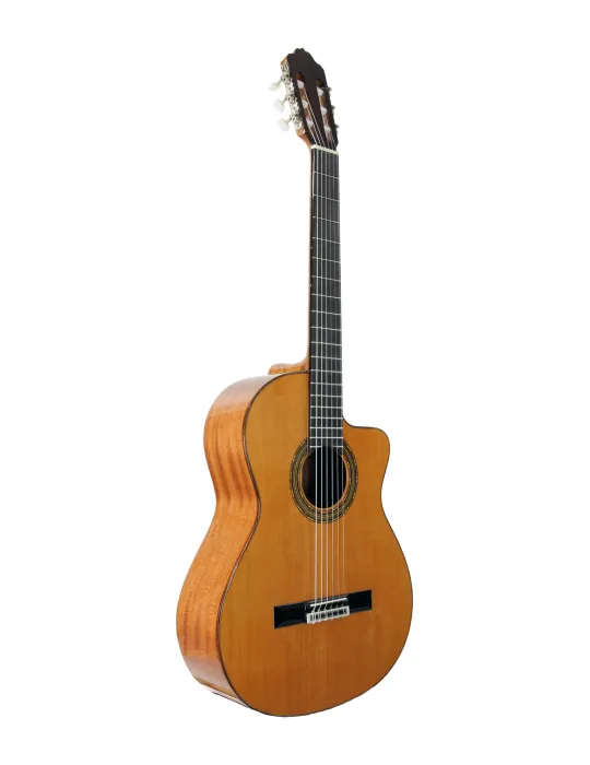  ESTEVE GUITAR 4STCE FISHMAN SILLET 48MM|MusicGoodDeal 