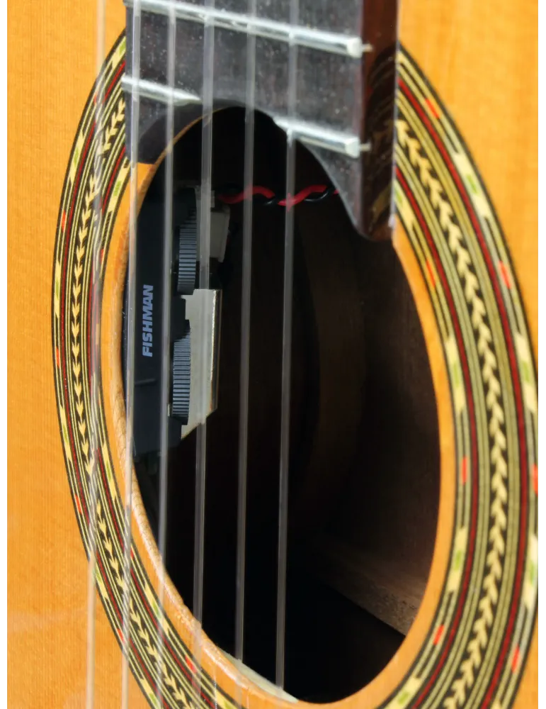  ESTEVE GUITAR 4STCE FISHMAN SILLET 48MM|MusicGoodDeal 