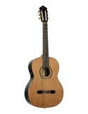 ORTEGA RE159RWSN | MusicGoodDeal