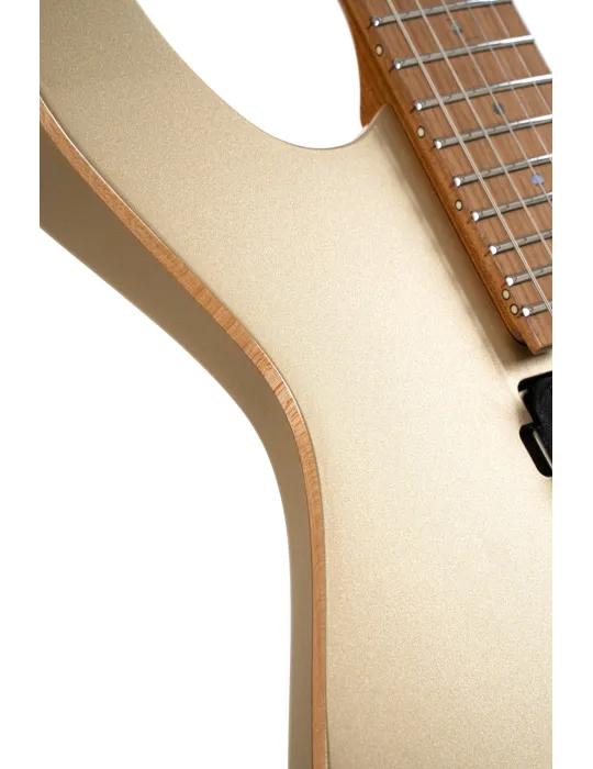 CORT G300PROMGD | MusicGoodDeal