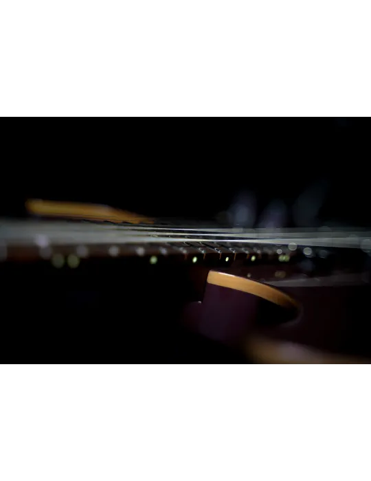  GUITARRA DE CORTE G300 PRO BRILLANTE BURDEOS|MusicGoodDeal 