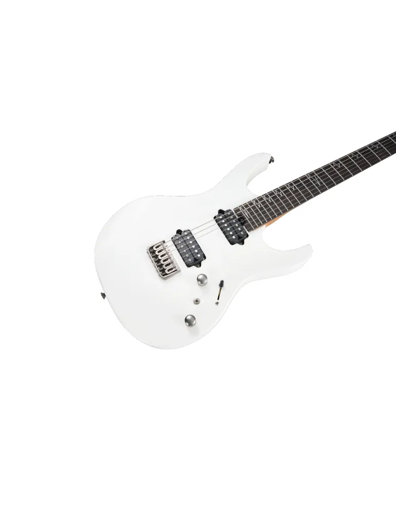 MOOER MMT100-PW | MusicGoodDeal