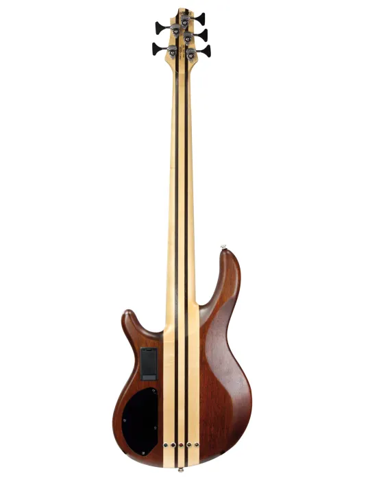 CORT A5P-FMMH-OPN ARCE-CAOBA NATURAL BAJO A5 PLUS|MusicGoodDeal 