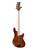 CORT GB-FUSION5-AB | MusicGoodDeal
