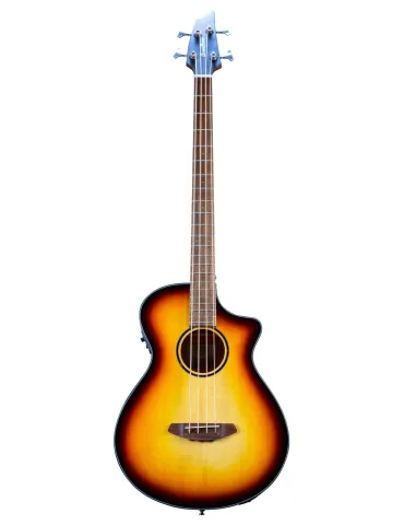 BREEDLOVE DSSB21CEED2 | MusicGoodDeal
