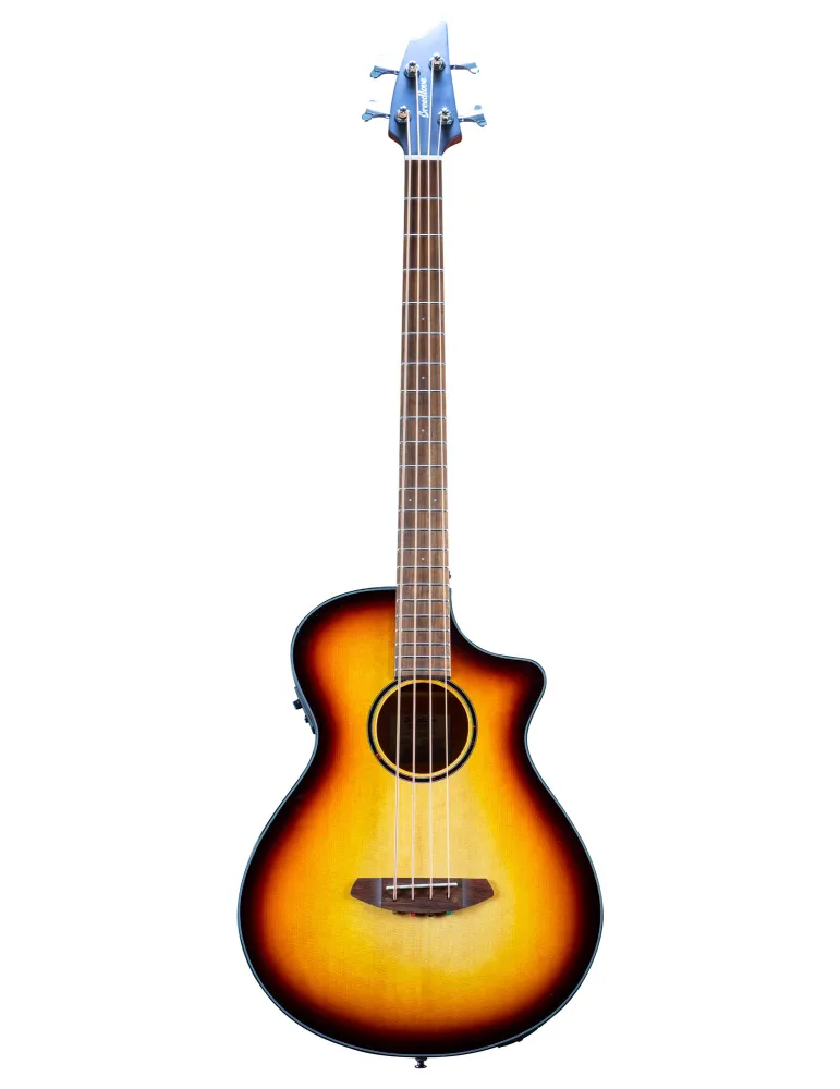 BREEDLOVE DSSB21CEED2 | MusicGoodDeal