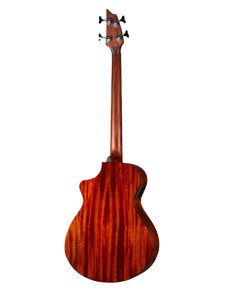 BREEDLOVE DSSB21CEED2 | MusicGoodDeal