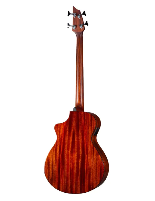 BREEDLOVE DSSB21CEED2 | MusicGoodDeal