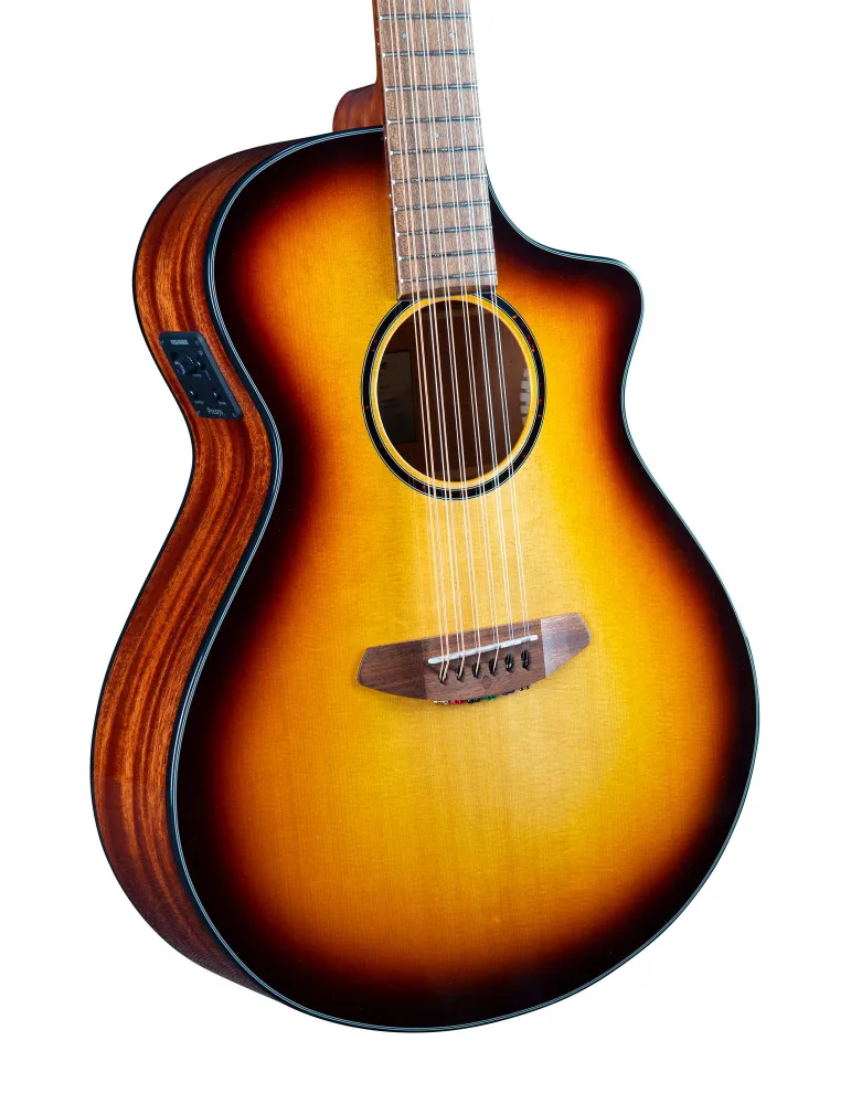 BREEDLOVE DSSB21CEED2 | MusicGoodDeal
