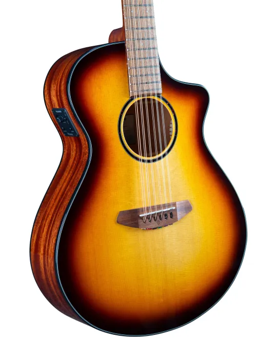 BREEDLOVE DSSB21CEED2 | MusicGoodDeal