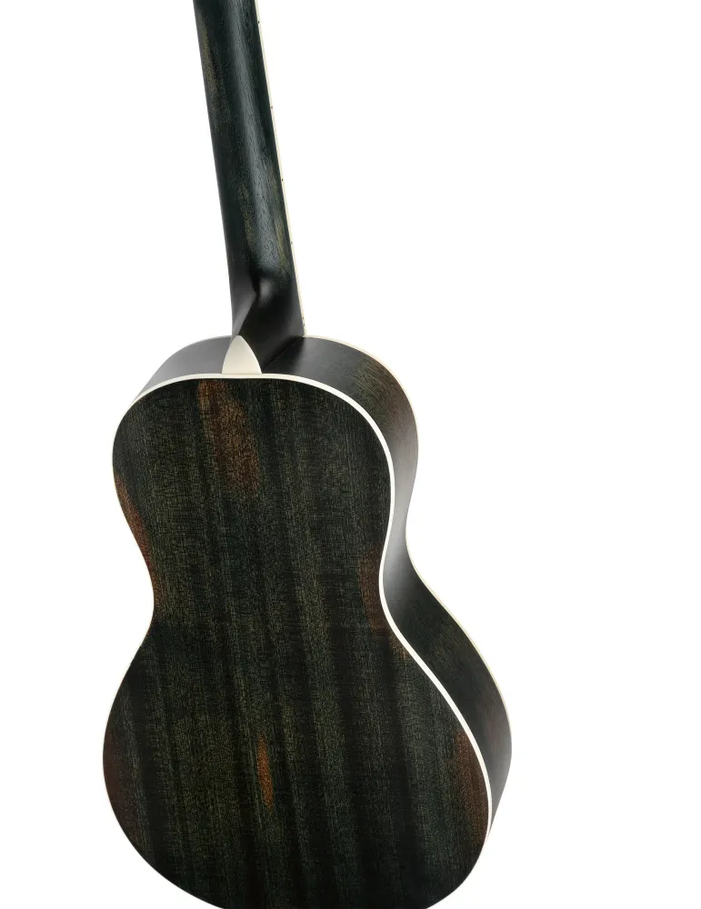 ORTEGA RRG30E-DD | MusicGoodDeal