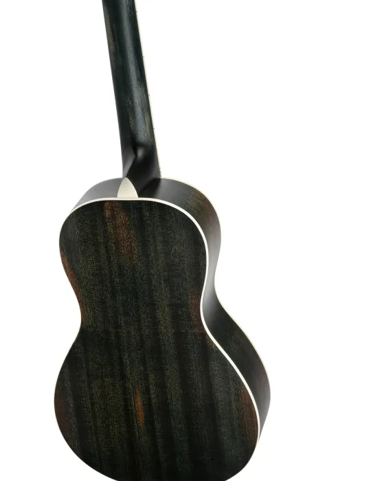ORTEGA RRG30E-DD | MusicGoodDeal