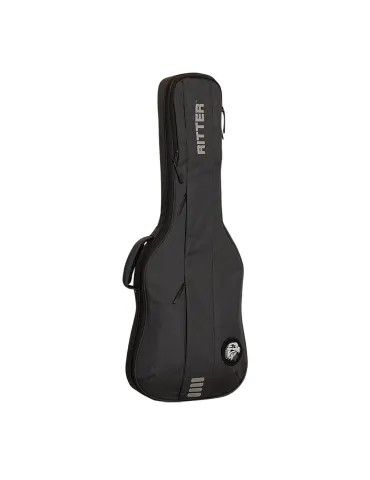 RITTER ELECTRIC ABDECKUNG GRAU|MusicGoodDeal  2
