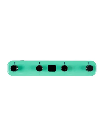  MOOER FOOTSWITCH GTRS GWF4 GREEN|MusicGoodDeal 