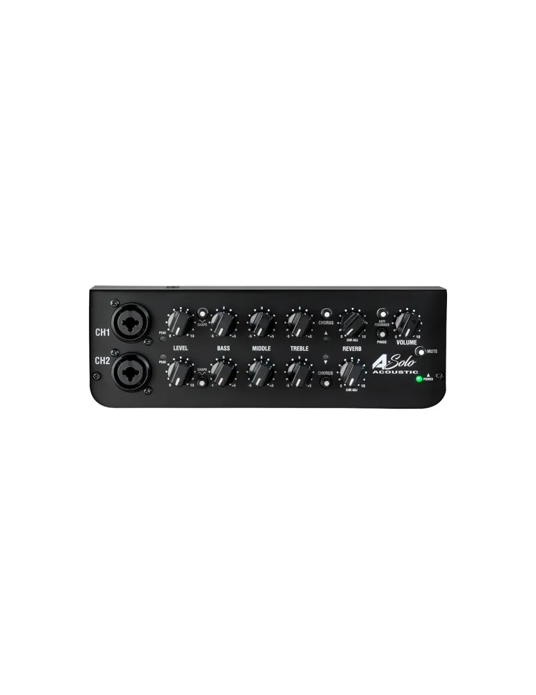 LANEY A-SOLO ACOUSTIC AMPLIFIER 60W / 1X8 ", 2 CHANNELS|MusicGoodDeal 
