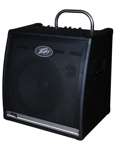 PEAVEY KB-4 | MusicGoodDeal 2