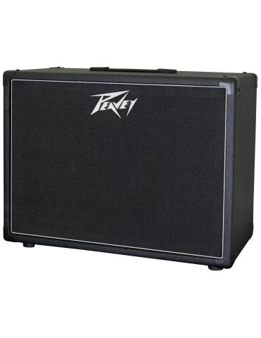 PEAVEY PVB112-6 | MusicGoodDeal 2