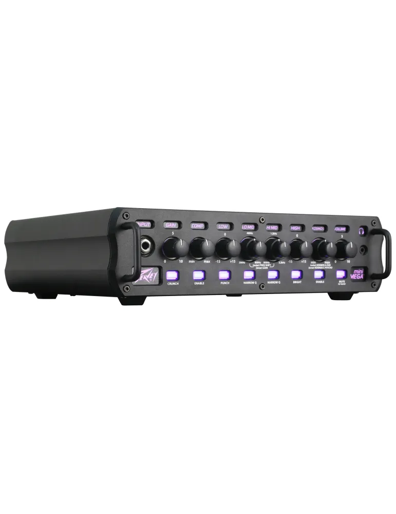 PEAVEY MINIMEGA1000 | MusicGoodDeal