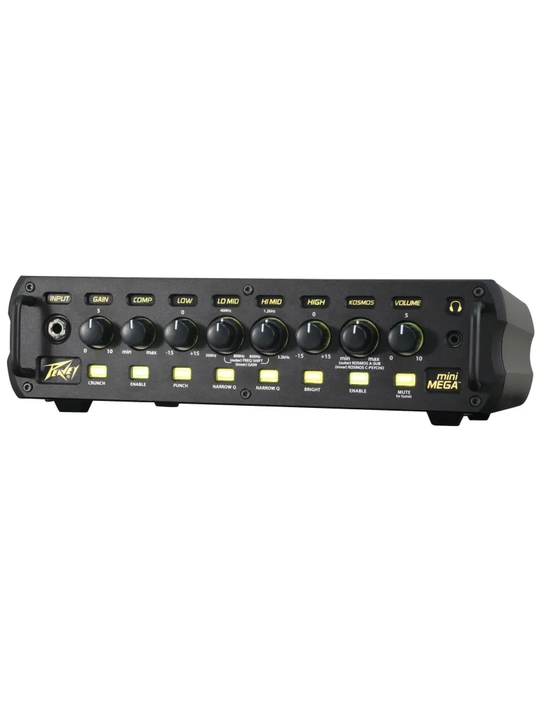 PEAVEY MINIMEGA1000 | MusicGoodDeal